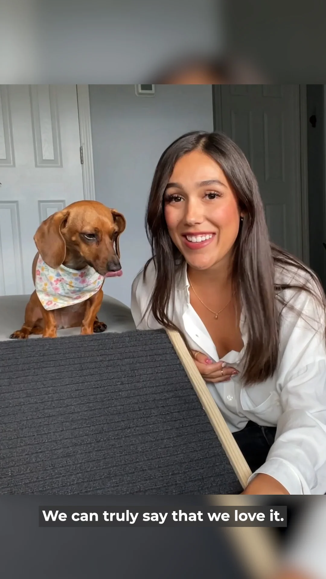 Your Dog's Ultimate Happy Place