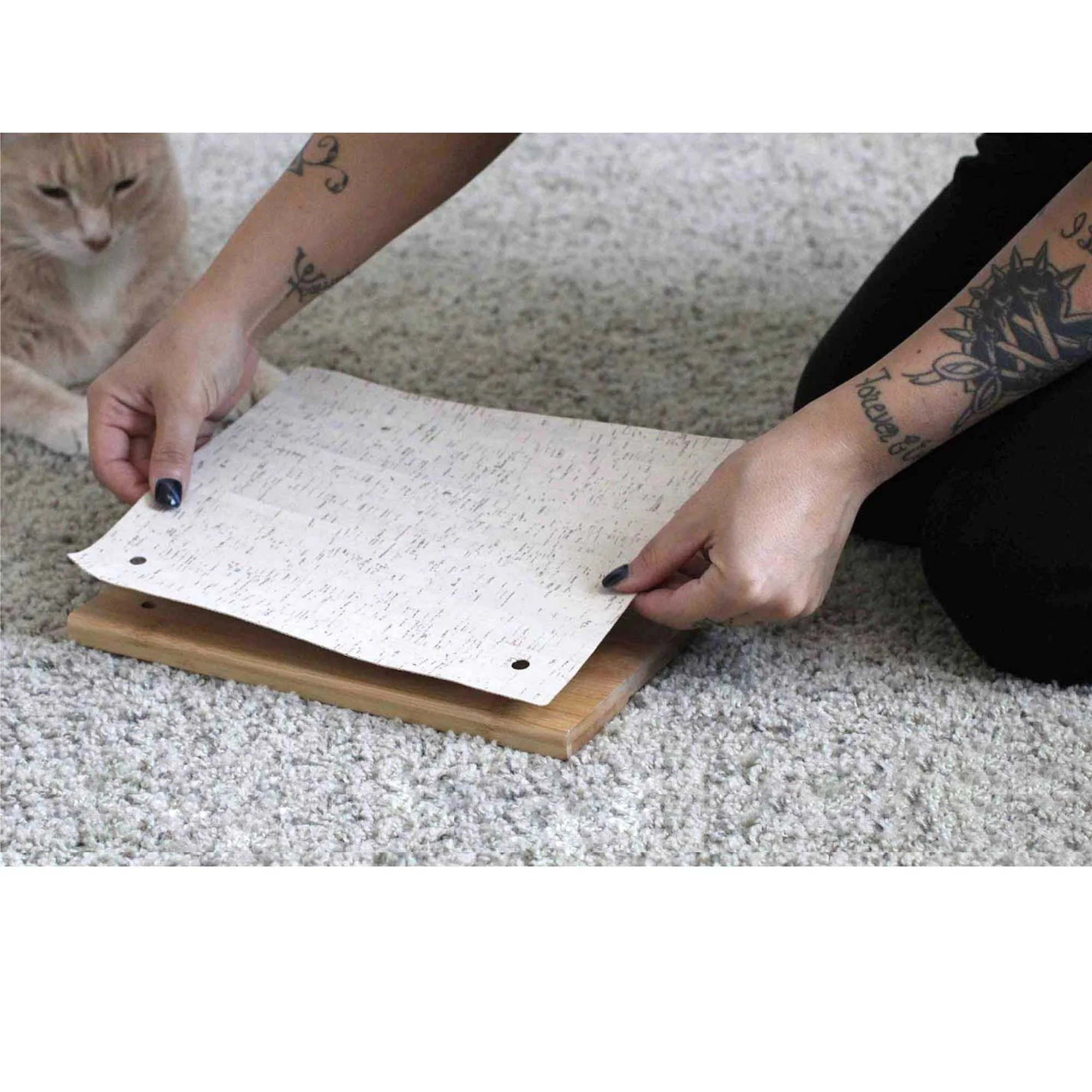 Thumbnail 14