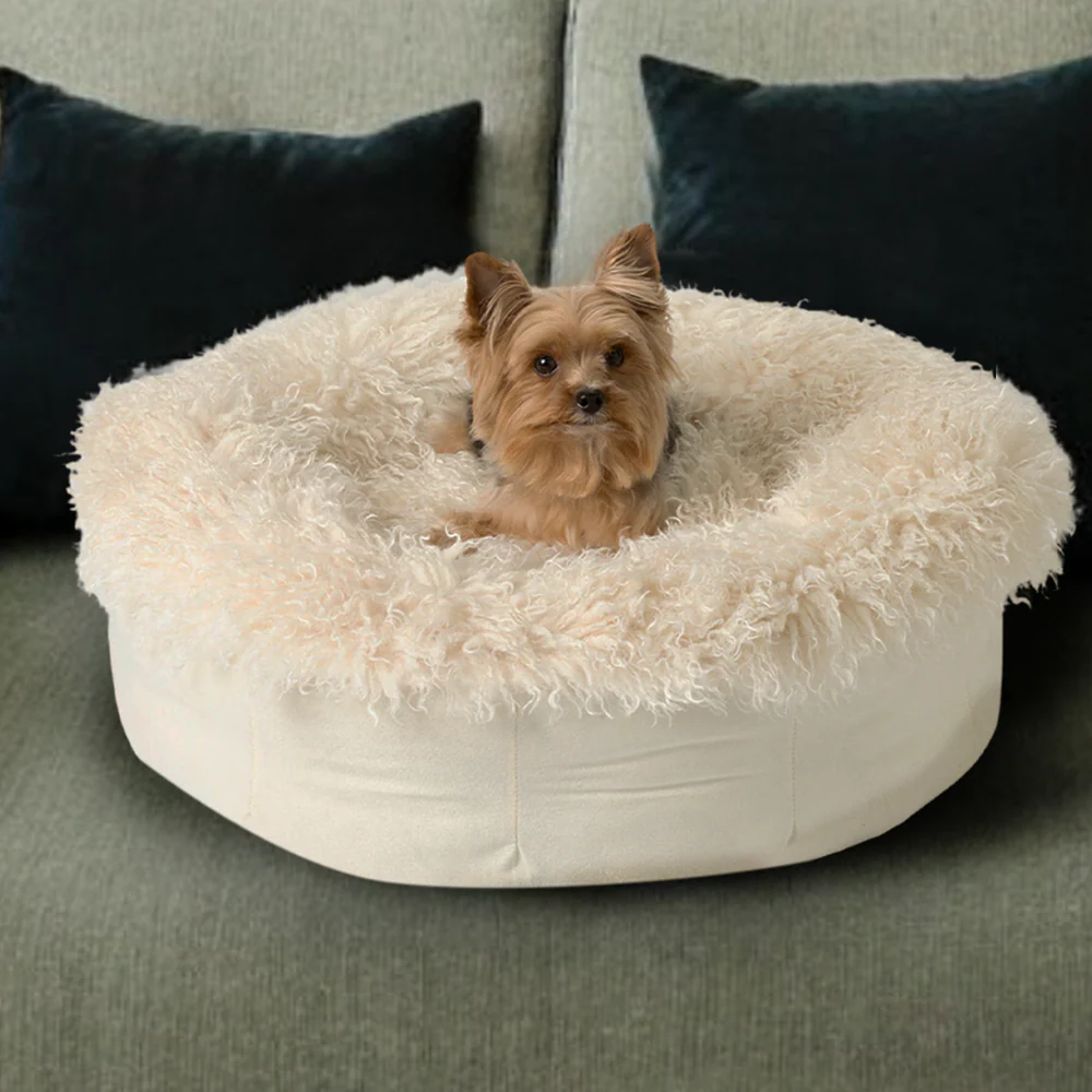Dog Products